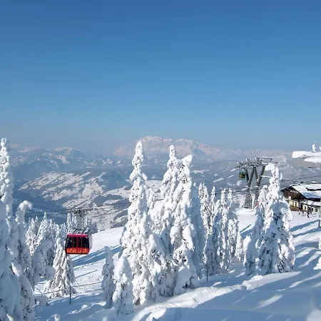Шале Penthouse An Der Piste 4